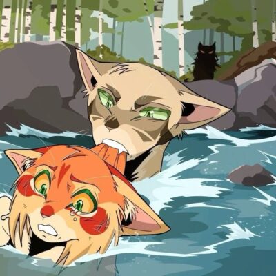 Richike Warrior cats Кв дискорд сервер