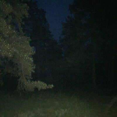 RolePlay Zombie группа ватсап