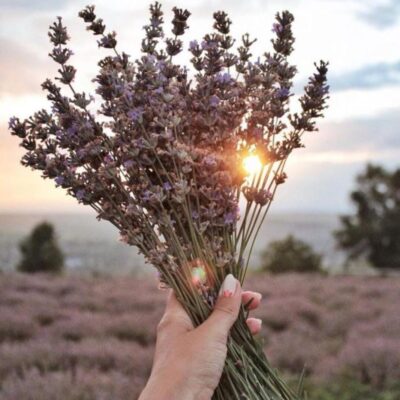 Love группа ватсап