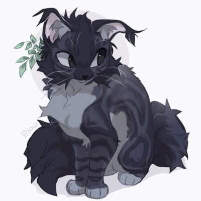 Ролевая по котам воителям группа ватсап