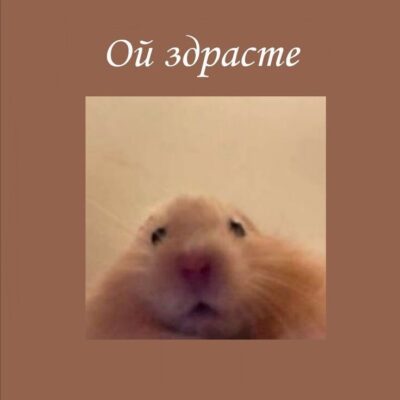 Styagram группа ватсап