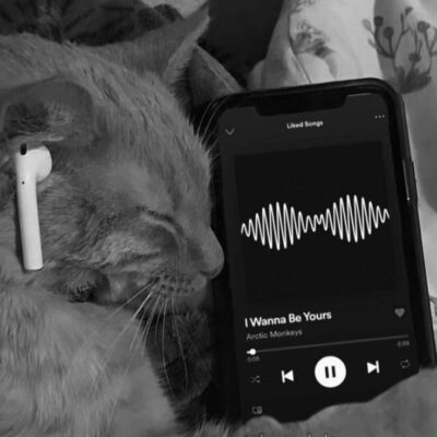 Black Heart группа ватсап