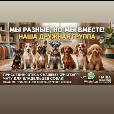 Dog Астана группа ватсап