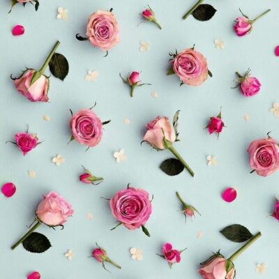 престижный бьюти группа телеграм