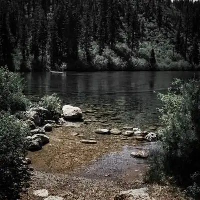 Флуд по Сотне и БВЛ канал телеграм