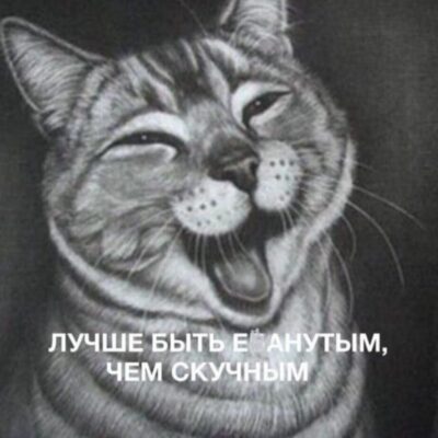 СуетологиЯ группа ватсап