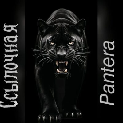 Ссылкгруппа Max