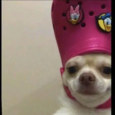 13 карт ролевая группа группа Ватсап