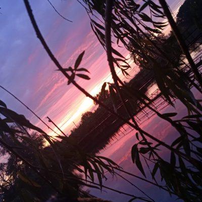 13 kart группа Ватсап