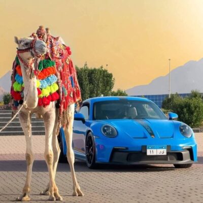 интересная обзорная экскурсия группа ватсап