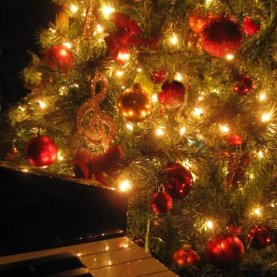 Видео фото редакция группа ватсап