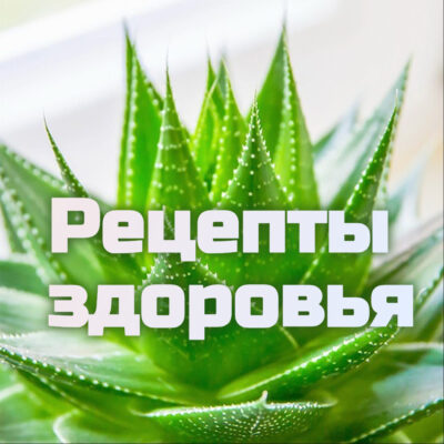 Здоровье Тела и Души группа ватсап