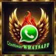 ССЫЛКИ WHATSAPP группа ватсап