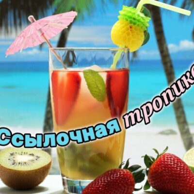 Ссылочная тропика группа ватсап