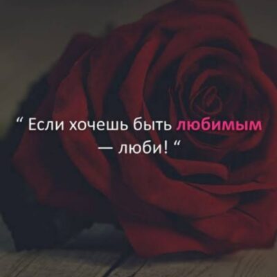 Si vis amari ama группа ватсап