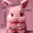 КАРТИНКИ СТИХИ ЦИТАТЫ ПРОЗЫ группа ватсап