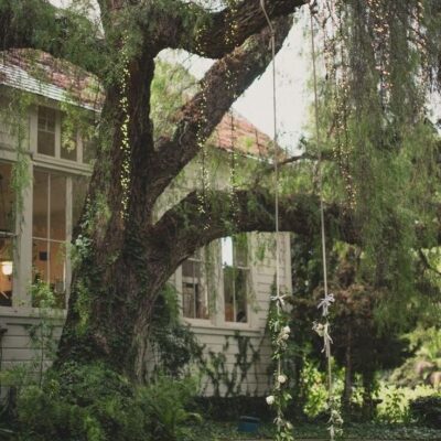 университет группа ватсап