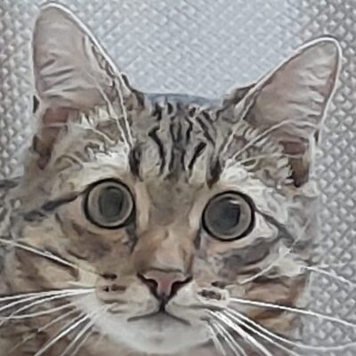 Чатик группа телеграм