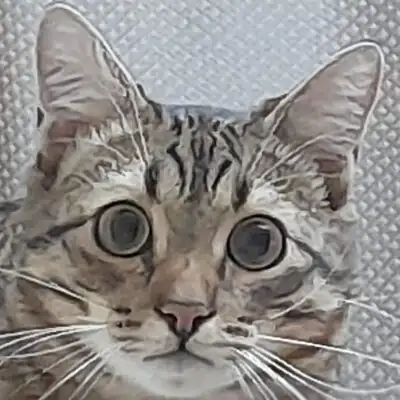 Чатик группа телеграм