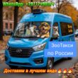 Доставка животных межгород группа ватсап