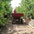 Работа Таганрог группа ватсап