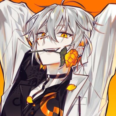 Dormitory7 группа ватсап