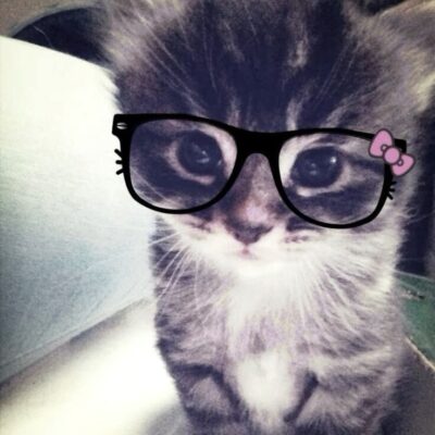 Kpopxsrolly69 группа ватсап