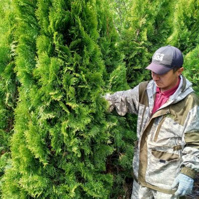 3eJleHuu-JleC группа Ватсап