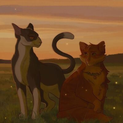 Коты воители-путешествие группа ватсап