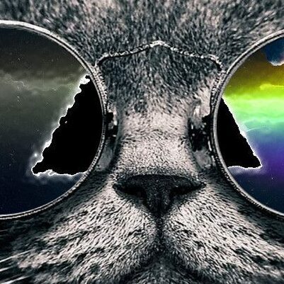 группа паучков группа ватсап