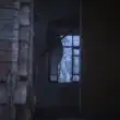 Коты-Воители группа ватсап