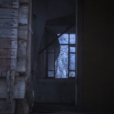 Коты-Воители группа ватсап