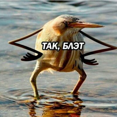 Трещалка группа ватсап