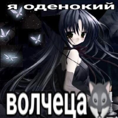 Rolka группа ватсап
