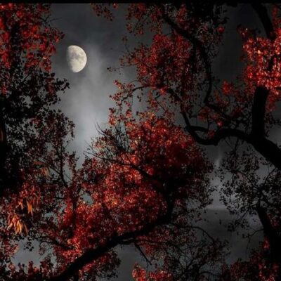 Role_playing группа ватсап