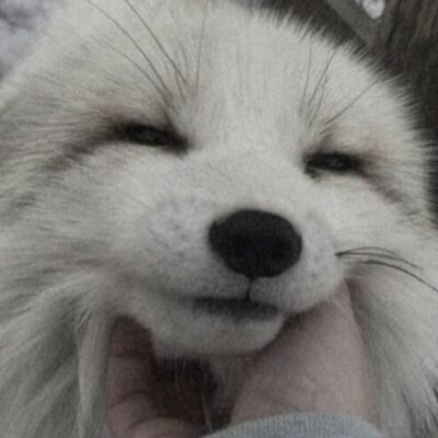 EVLINE дискорд сервер