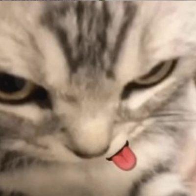 abobiki_lynaweeks группа Ватсап