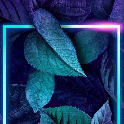 Anime rolka группа Ватсап