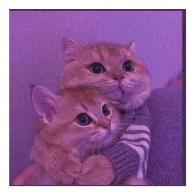 Role-playing группа ватсап