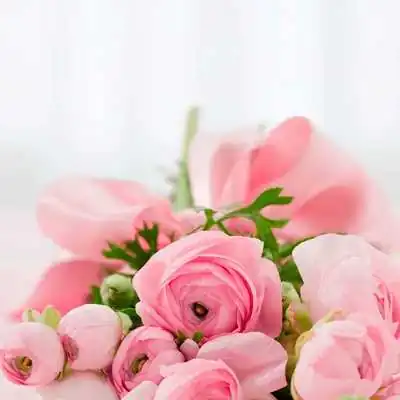 Букет роз аватарка инстаграм