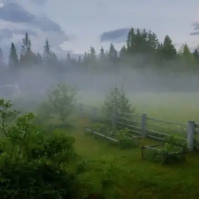 Вз актив группа ватсап