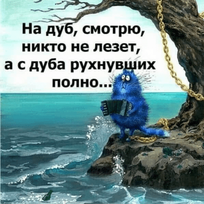 CATS WARRIORS FAN_CLUB группа Ватсап