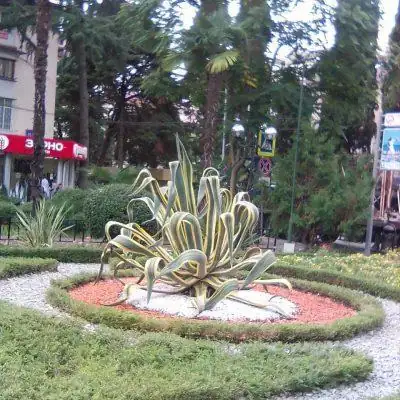 Cool friend группа Ватсап