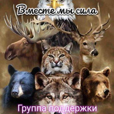 Cвои люди группа Ватсап