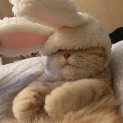 Для челиков группа Ватсап