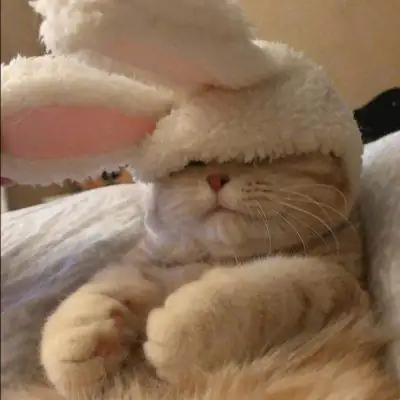 Для челиков группа Ватсап