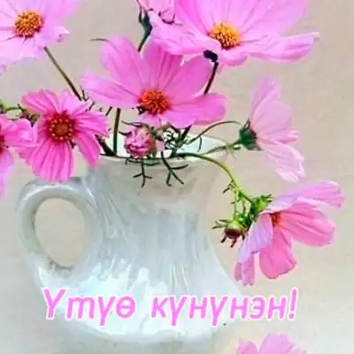 Добрый день открытка ватсап