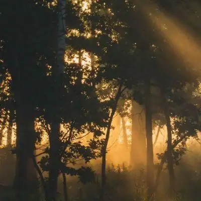 Дурка для норм людей группа Ватсап