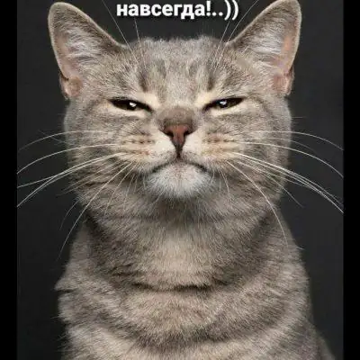 Движ Ссылок группа Ватсап