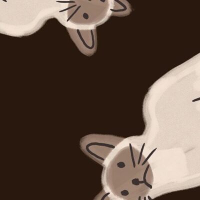 Свободная ролка по аниме группа ватсап